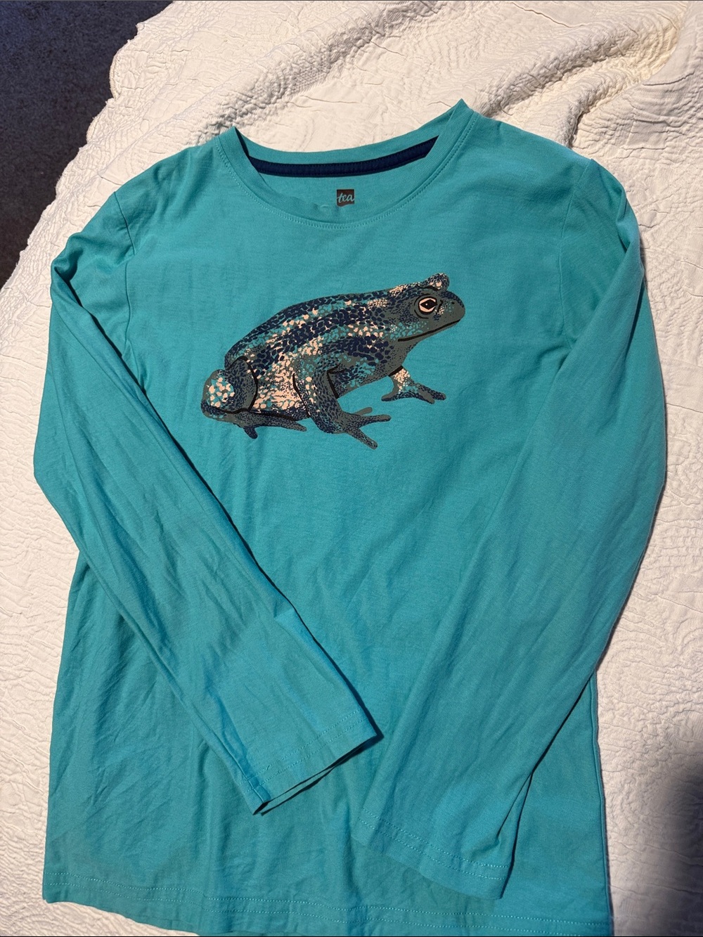 Tea Collection Kids' Turquoise Long-Sleeve Frog Tee